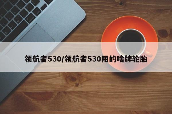 领航者530/领航者530用的啥牌轮胎